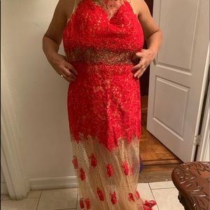 Dave and Johnny Red Sheer Dress